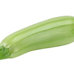 Courgette verte