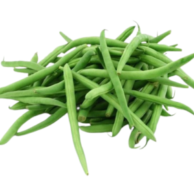 Haricot vert